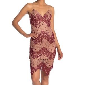 Bardot Nude and Burgundy Lace Dress